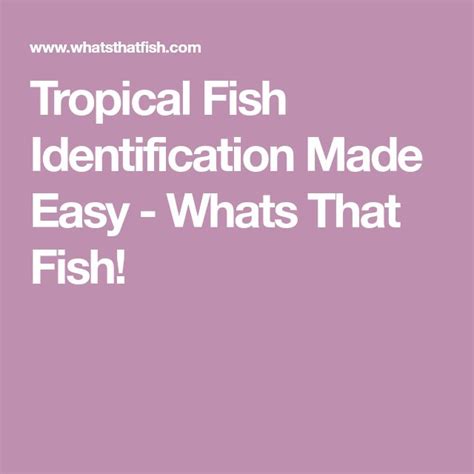 fish identification|Tropical Fish Identification Made Easy .